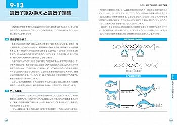 図解入門 よくわかる 最新 高分子化学の基本と仕組み (How-nual
